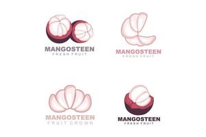 logo de mangoustan, illustration de chair de mangoustan, reine des fruits riches en vitamines, conception de modèle d'étiquette vectorielle de logo de fruits vecteur