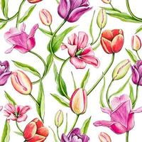 sans couture coloré printemps modèle avec tulipes. aquarelle floral tulipe arrière-plan. vecteur