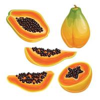 papaye nourriture fruits frais ensemble dessin animé illustration vectorielle vecteur