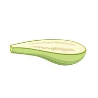 Zucchini moelle légume dessin animé vecteur illustration