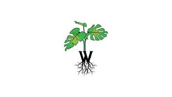 lettre w plante arbre logo conception vecteur