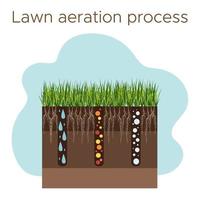 pelouse se soucier - aération et scarification. Étiquettes par étape-pendant. admission de substances-eau, oxygène, et nutriments à alimentation le herbe et sol. vecteur plat illustration isolé