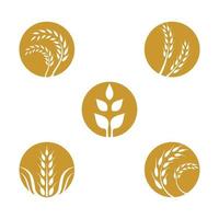 ensemble d'images de logo de blé vecteur