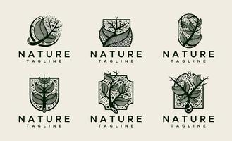 décoratif la nature feuille logo conception modèle ensemble. luxe floral logo graphique modèle. vecteur