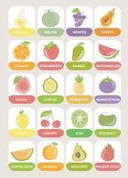 tropical des fruits flashcards pour les enfants. mignonne flashcards pour les enfants. prêt à imprimer. imprimable Jeu cartes. éducatif cartes pour préscolaire. vecteur illustration.