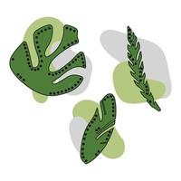 silhouette de herbes et feuilles. une ensemble de feuilles vecteur