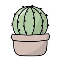 vecteur illustration de une brillant cactus. plat, mignonne
