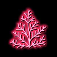 cèdre plante aromathérapie néon lueur icône illustration vecteur