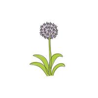 dessin d'une seule ligne de beauté fraîche allium giganteum pour le logo du jardin. concept de fleur d'oignon géant décoratif décoration d'affiche d'art mural. ligne continue moderne dessiner illustration vectorielle de conception vecteur