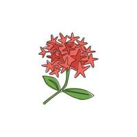 un seul dessin de plantes à fleurs fraîches de beauté pour le logo de jardin. concept de fleur ixora décorative imprimable pour l'ornement de carte de voeux. ligne continue à la mode dessiner illustration vectorielle de conception vecteur