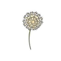 Dessin au trait continu unique beauté taraxacum frais pour l'impression d'affiches d'art de décoration murale à la maison. fleur de pissenlit décorative imprimable pour carte d'invitation. Une ligne moderne dessiner illustration vectorielle de conception vecteur