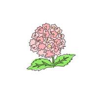 dessin au trait continu unique de la lantana fraîche de beauté pour le logo du jardin. concept de fleur de verveine d'arbuste décoratif pour l'impression d'affiche d'art de décoration murale à la maison. illustration vectorielle de conception à la mode une ligne vecteur