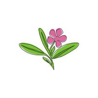 dessin au trait continu unique de la pervenche fraîche de beauté pour le logo du jardin. concept de fleur de vinca décorative imprimable pour l'art de l'affiche de la décoration murale de la maison. Une ligne moderne dessiner illustration vectorielle de conception vecteur