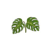 dessin au trait continu unique de jolies feuilles tropicales exotiques plante monstera. concept de plante d'intérieur décorative imprimable pour l'ornement de décoration murale. Une ligne graphique moderne dessiner une illustration vectorielle de conception vecteur