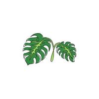 une ligne continue dessinant de jolies feuilles tropicales exotiques plante monstera. concept de plante d'intérieur décorative imprimable pour l'ornement de décoration murale. Illustration graphique de vecteur de dessin de ligne unique moderne