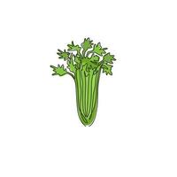 un dessin au trait continu d'un bouquet de céleri vert biologique sain pour l'identité du logo de la ferme. concept de plante de marais frais pour l'icône de légumes. Illustration graphique de vecteur de dessin de ligne unique moderne