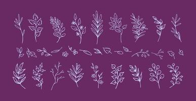 ensemble de main tiré lilas feuilles et brindilles, fantaisie branches, sur violet Contexte. élégant Naturel conception vignettes. collection de isolé romantique fleurir séparateurs et décorations pour impressions vecteur
