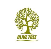 olive arbre symbole, isolé vecteur emblème