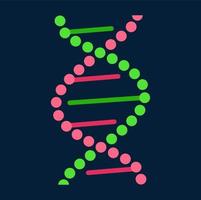 Humain les gènes cellule, ADN molécules hélix structure vecteur