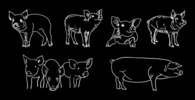 Boucherie tableau noir coupe de viande de porc. vecteur