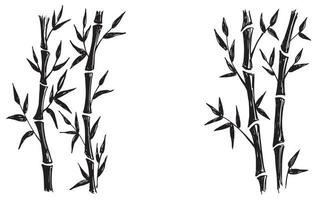 arbre de bambou. style dessiné à la main. illustrations vectorielles. vecteur