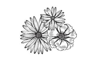 motif de fleurs dessiné à la main. arrière-plan transparent de vecteur. vecteur
