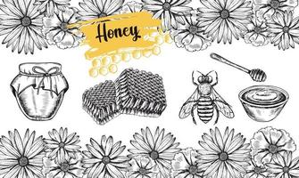 ensemble de prospectus sur le miel et les abeilles, illustrations dessinées à la main. vecteur. vecteur