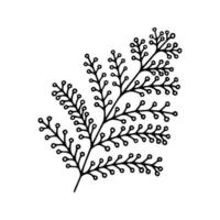 main tiré à base de plantes, floral clipart. un ligne griffonnage vecteur