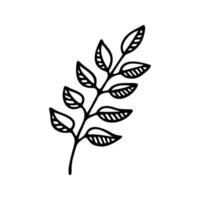 main tiré à base de plantes, floral clipart. un ligne griffonnage vecteur