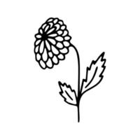 main tiré à base de plantes, floral clipart. un ligne griffonnage vecteur