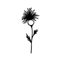 main tiré à base de plantes, floral clipart. un ligne griffonnage vecteur