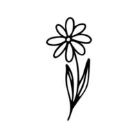 main tiré à base de plantes, floral clipart. un ligne griffonnage vecteur