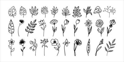 main tiré à base de plantes, floral clipart collection. un ligne griffonnage vecteur ensemble