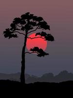 illustration arbre solitaire et coucher de soleil vecteur