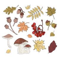 l'automne Trésor tomber saison la nature vecteur illustration ensemble