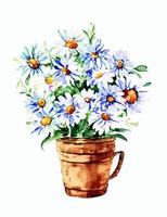 Marguerite fleur aquarelle pot plante vecteur