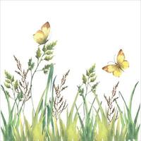 aquarelle vecteur vert herbe, herbe et Jaune papillons isolé sur blanc Contexte.