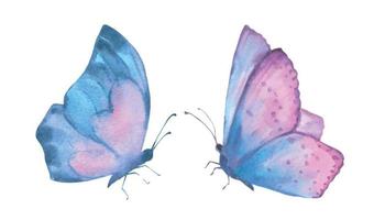 aquarelle vecteur illustration, délicat mignonne bleu papillons, isolé sur une blanc Contexte