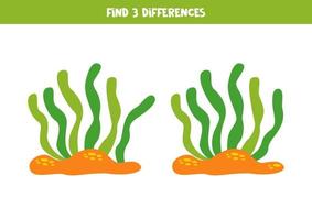 trouver 3 différences entre deux dessin animé algues. vecteur