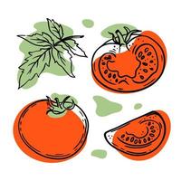 tomates Frais des légumes dans esquisser vecteur illustration ensemble