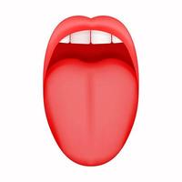 ouvert bouche avec collage en dehors langue et plus haut incisives dents. Humain goût organe vecteur