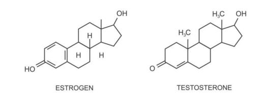 oestrogène et progestérone Icônes. femelle reproducteur sexe les hormones chimique moléculaire structure. stéroïdes de menstruel cycle, puberté, ovaire et grossesse vecteur