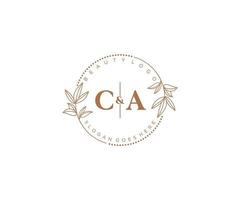 initiale Californie des lettres magnifique floral féminin modifiable premade monoline logo adapté pour spa salon peau cheveux beauté boutique et cosmétique entreprise. vecteur