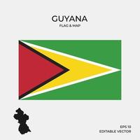 drapeau et carte de la Guyane vecteur