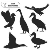 collection de silhouette de canard animal dans différentes poses vecteur