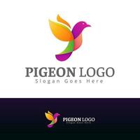 modèle de logo design moderne pigeon multicolore vecteur