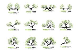 création de logo d'arbre vert, illustration de logo de bonsaï, vecteur de feuilles et de bois