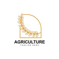 riz logo, agriculture conception, vecteur blé riz icône modèle illustration