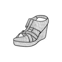 luxe femelle des chaussures ancien illustration conception vecteur