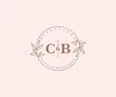 initiale cb des lettres magnifique floral féminin modifiable premade monoline logo adapté pour spa salon peau cheveux beauté boutique et cosmétique entreprise. vecteur